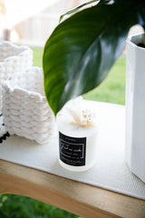 Alchimia Find Me Under a Palm Tree Candle